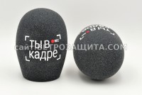 Windscreen for microphone with logo You are in the frame