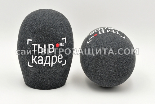 Windscreen for microphone with logo You are in the frame